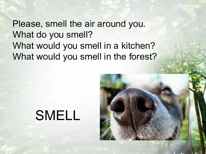 Please, smell the air around you. What do you smell? What