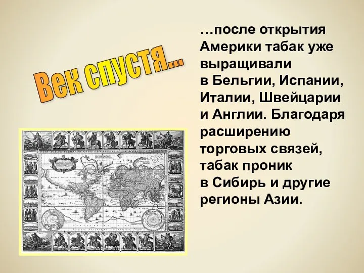 Век спустя... …после открытия Америки табак уже выращивали в Бельгии, Испании,