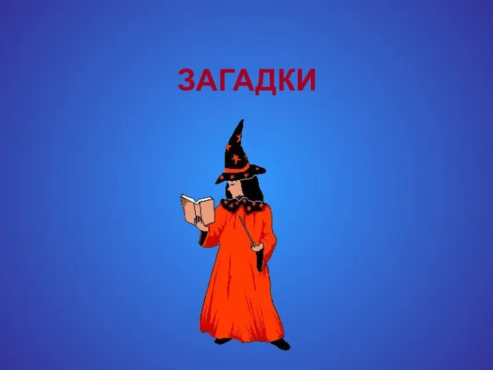 ЗАГАДКИ