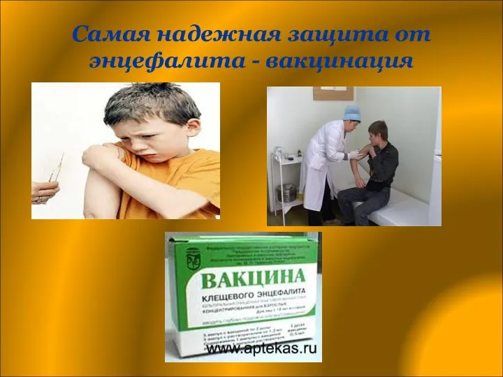 Самая надежная защита от энцефалита - вакцинация