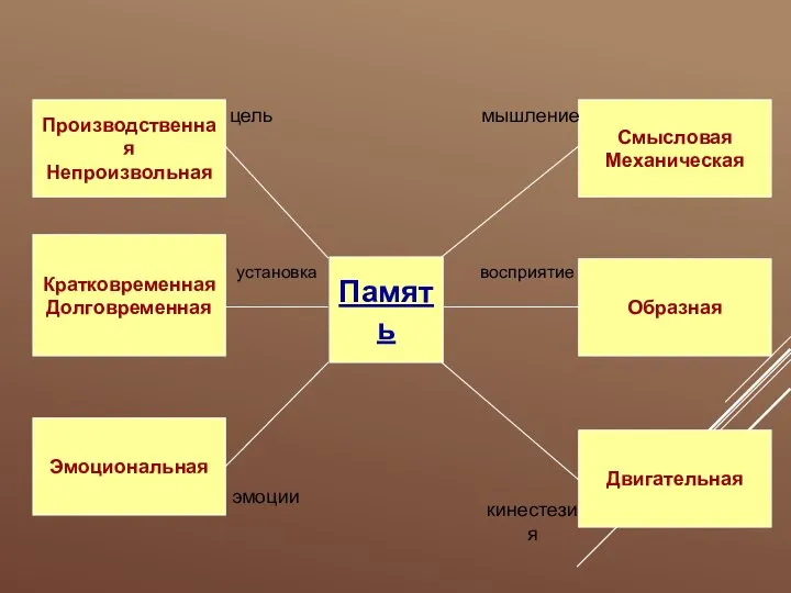 Память цель установка эмоции Производственная Непроизвольная Кратковременная Долговременная Образная Эмоциональная Смысловая Механическая Двигательная мышление восприятие кинестезия