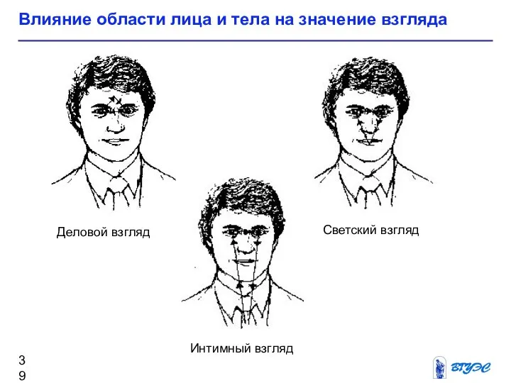 Влияние области лица и тела на значение взгляда Деловой взгляд Интимный взгляд Светский взгляд