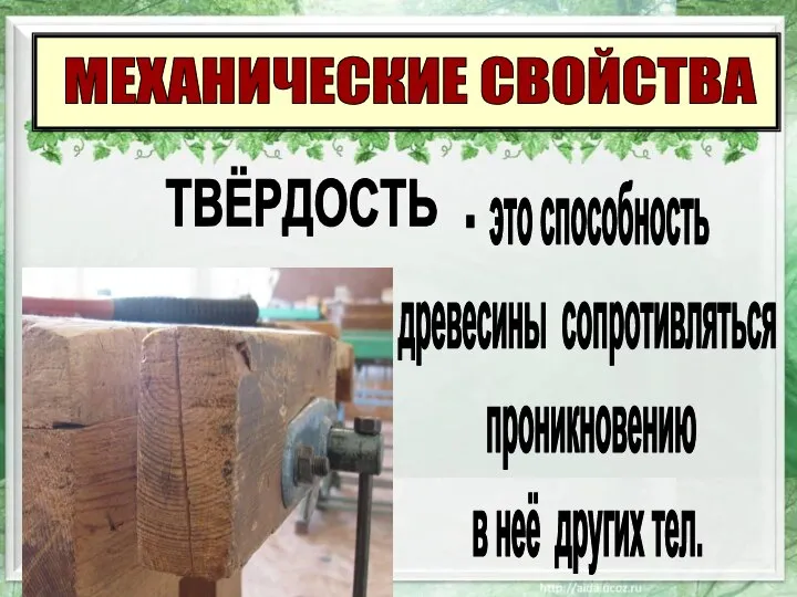 МЕХАНИЧЕСКИЕ СВОЙСТВА - это способность древесины сопротивляться проникновению в неё других тел. ТВЁРДОСТЬ