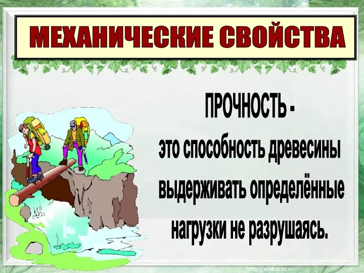 МЕХАНИЧЕСКИЕ СВОЙСТВА ПРОЧНОСТЬ - это способность древесины выдерживать определённые нагрузки не разрушаясь.