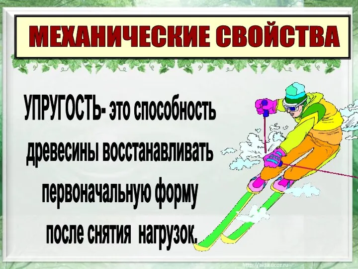 МЕХАНИЧЕСКИЕ СВОЙСТВА УПРУГОСТЬ- это способность древесины восстанавливать первоначальную форму после снятия нагрузок.