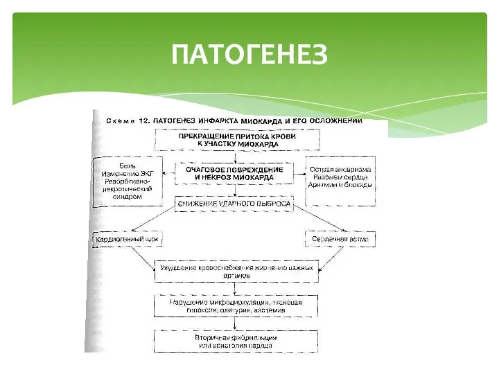 ПАТОГЕНЕЗ