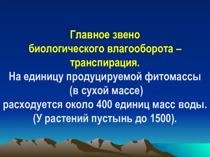 Главное звено биологического влагооборота – транспирация. На единицу продуцируемой фитомассы (в