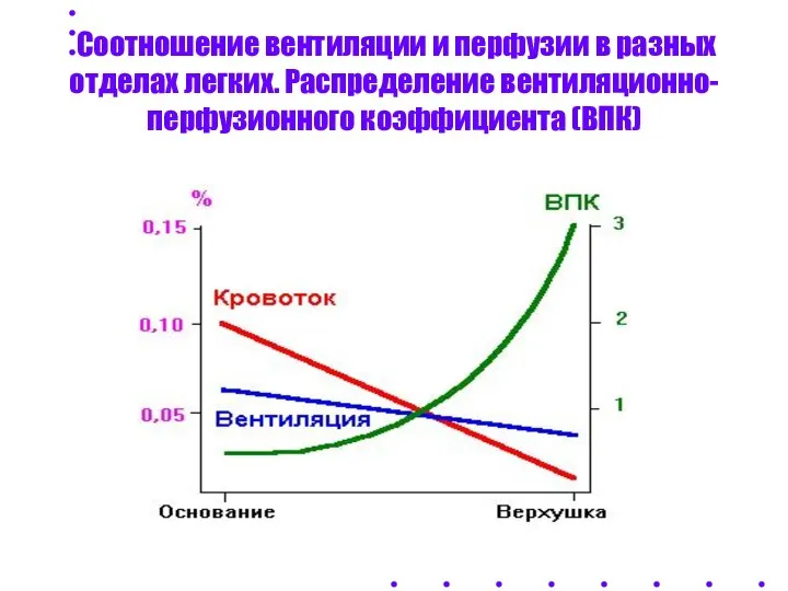 Соотношение вентиляции и перфузии в разных отделах легких. Распределение вентиляционно-перфузионного коэффициента (ВПК)