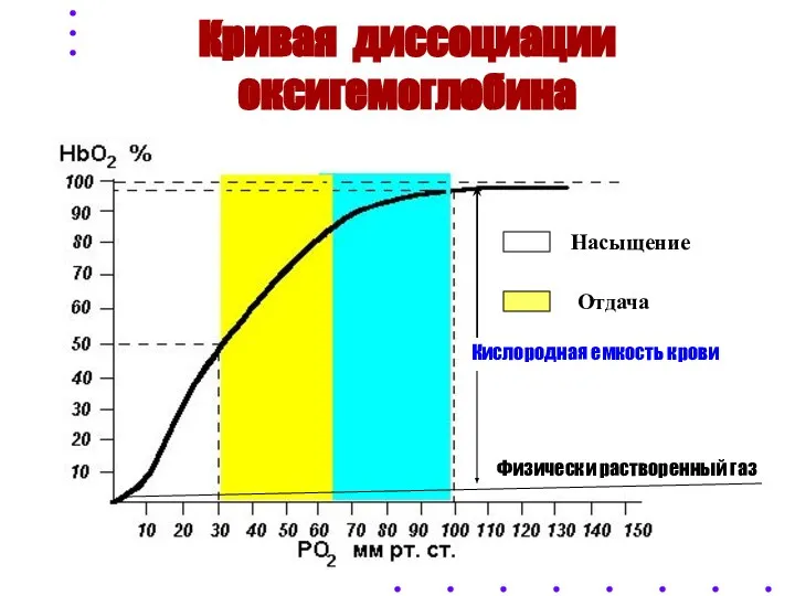 Кривая диссоциации оксигемоглобина Насыщение Отдача Кислородная емкость крови Физически растворенный газ