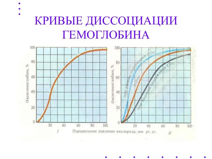 КРИВЫЕ ДИССОЦИАЦИИ ГЕМОГЛОБИНА