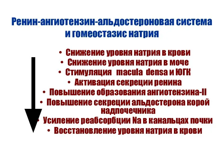 Ренин-ангиотензин-альдостероновая система и гомеостазис натрия Снижение уровня натрия в крови Снижение