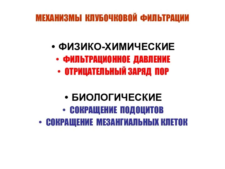 МЕХАНИЗМЫ КЛУБОЧКОВОЙ ФИЛЬТРАЦИИ ФИЗИКО-ХИМИЧЕСКИЕ ФИЛЬТРАЦИОННОЕ ДАВЛЕНИЕ ОТРИЦАТЕЛЬНЫЙ ЗАРЯД ПОР БИОЛОГИЧЕСКИЕ СОКРАЩЕНИЕ ПОДОЦИТОВ СОКРАЩЕНИЕ МЕЗАНГИАЛЬНЫХ КЛЕТОК