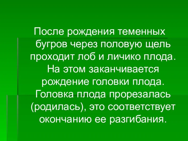 После рождения теменных бугров через половую щель проходит лоб и личико