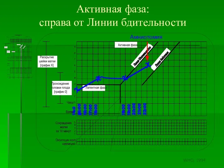Активная фаза: справа от Линии бдительности X 14:00 X X X