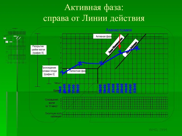Активная фаза: справа от Линии действия X 14:00 X X X