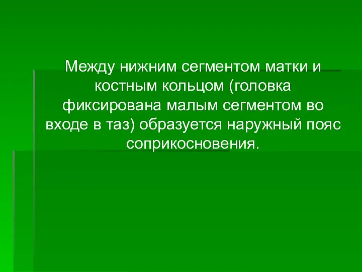 Между нижним сегментом матки и костным кольцом (головка фиксирована малым сегментом