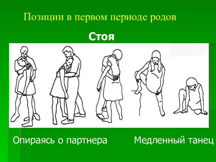 Позиции в первом периоде родов Стоя Опираясь о партнера Медленный танец