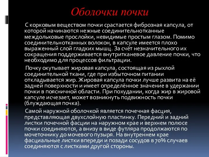 Оболочки почки С корковым веществом почки срастается фиброзная капсула, от которой