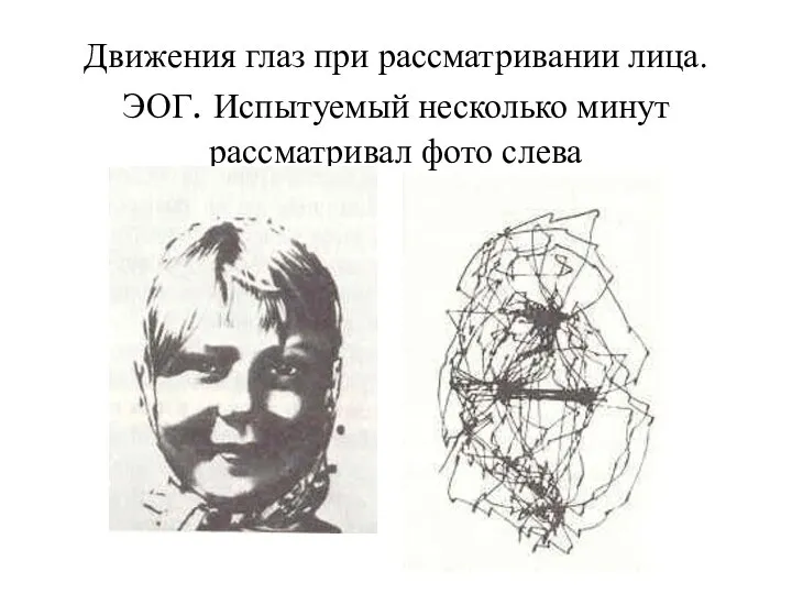 Движения глаз при рассматривании лица. ЭОГ. Испытуемый несколько минут рассматривал фото слева