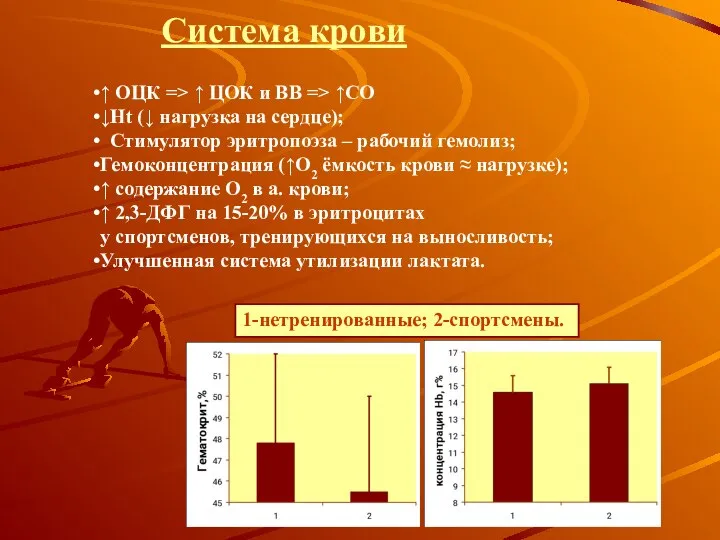 Система крови ↑ ОЦК => ↑ ЦОК и ВВ => ↑СО