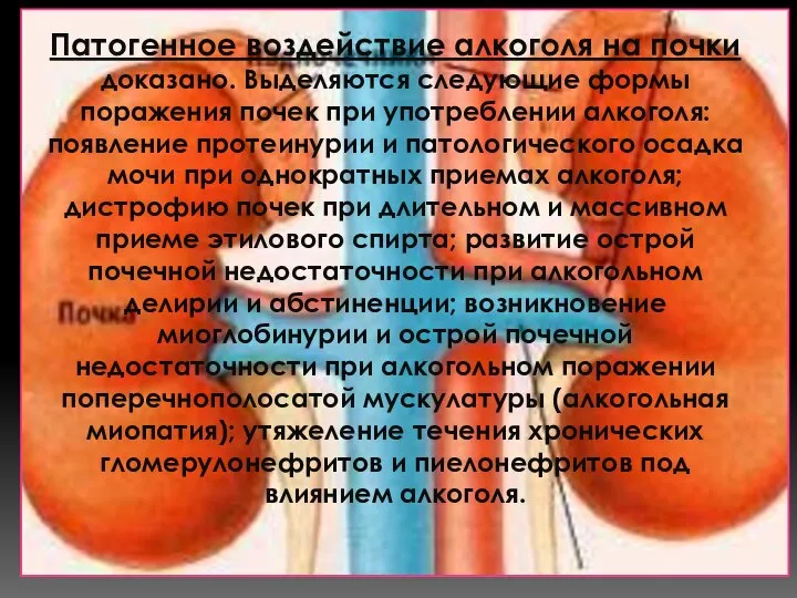 Патогенное воздействие алкоголя на почки доказано. Выделяются следующие формы поражения почек