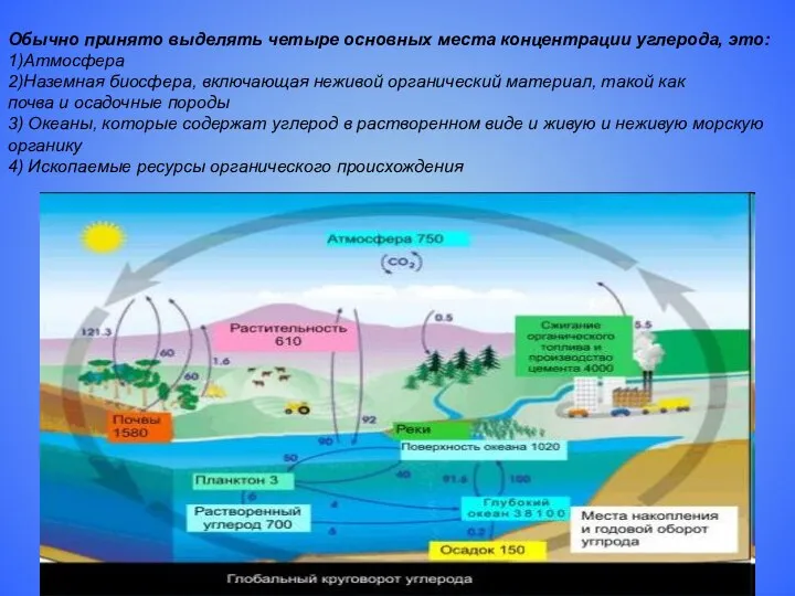 Обычно принято выделять четыре основных места концентрации углерода, это: 1)Атмосфера 2)Наземная