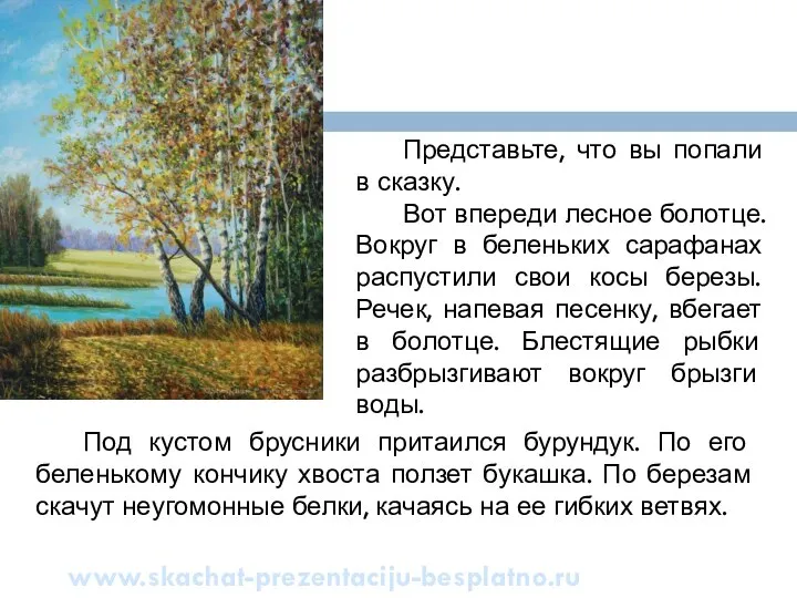 Под кустом брусники притаился бурундук. По его беленькому кончику хвоста ползет