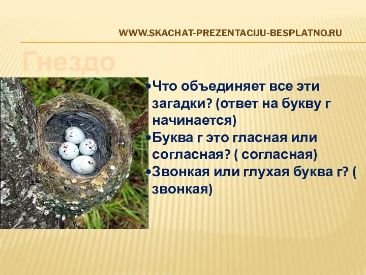 www.skachat-prezentaciju-besplatno.ru Гнездо Что объединяет все эти загадки? (ответ на букву г