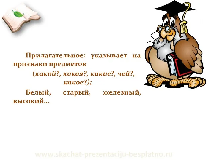 Прилагательное: указывает на признаки предметов (какой?, какая?, какие?, чей?, какое?); Белый, старый, железный, высокий… www.skachat-prezentaciju-besplatno.ru
