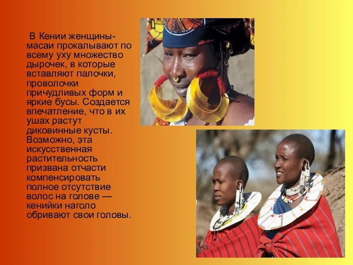 В Кении женщины-масаи прокалывают по всему уху множество дырочек, в которые