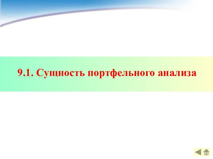 9.1. Сущность портфельного анализа