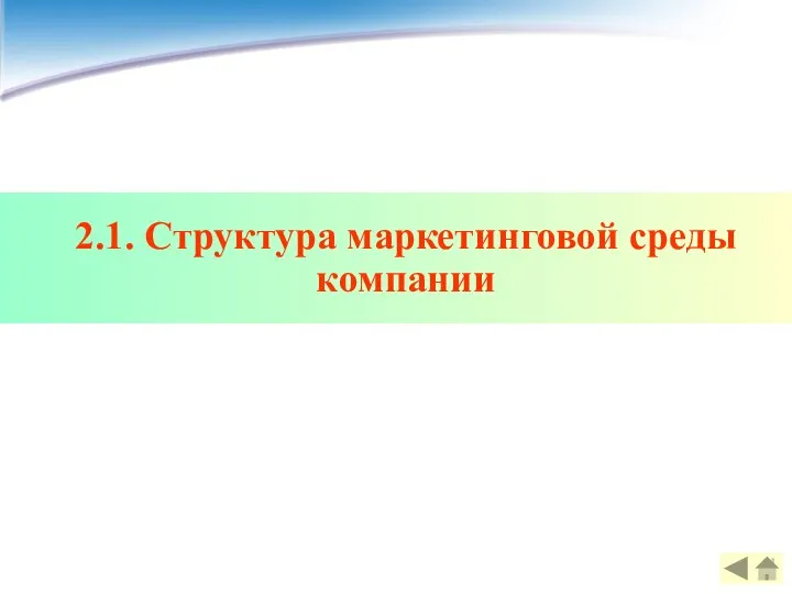 2.1. Структура маркетинговой среды компании