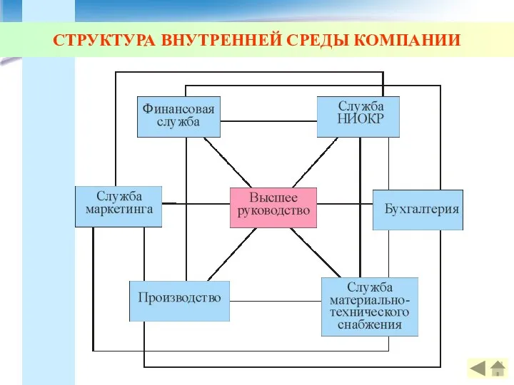 СТРУКТУРА ВНУТРЕННЕЙ СРЕДЫ КОМПАНИИ