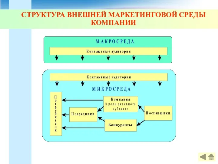 СТРУКТУРА ВНЕШНЕЙ МАРКЕТИНГОВОЙ СРЕДЫ КОМПАНИИ