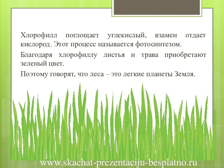 Хлорофилл поглощает углекислый, взамен отдает кислород. Этот процесс называется фотосинтезом. Благодаря