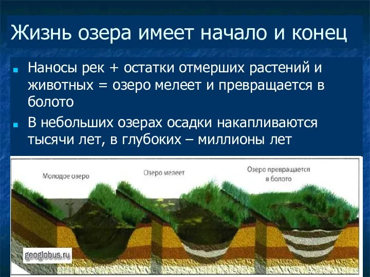 Жизнь озера имеет начало и конец Наносы рек + остатки отмерших