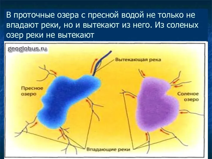 В проточные озера с пресной водой не только не впадают реки,