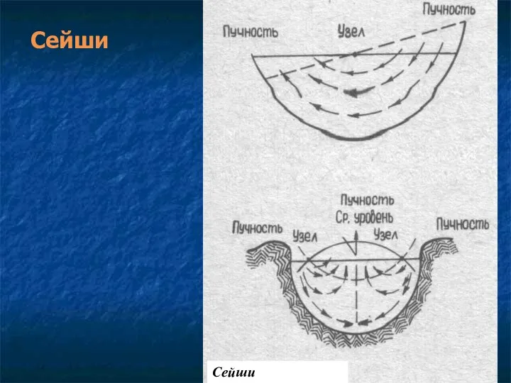 Сейши Сейши