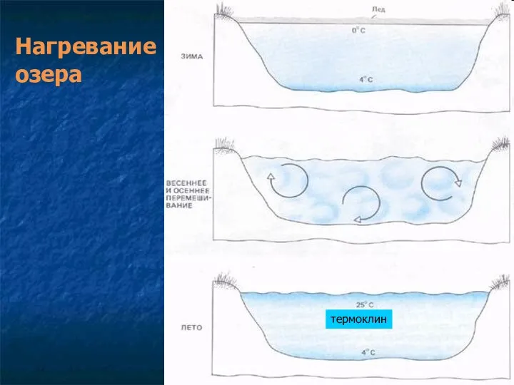 Нагревание озера термоклин