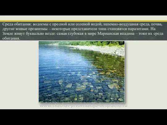 Среда обитания: водоемы с пресной или соленой водой, наземно-воздушная среда, почва,