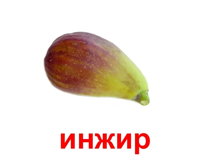 инжир