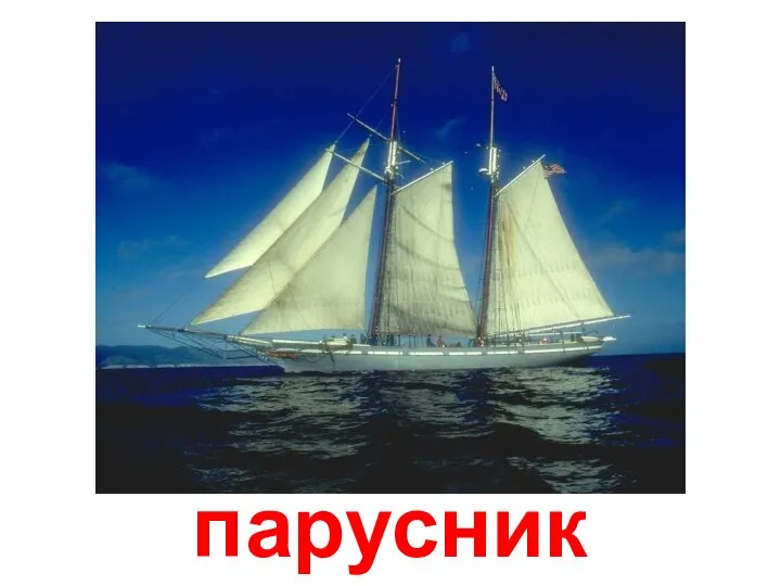 парусник