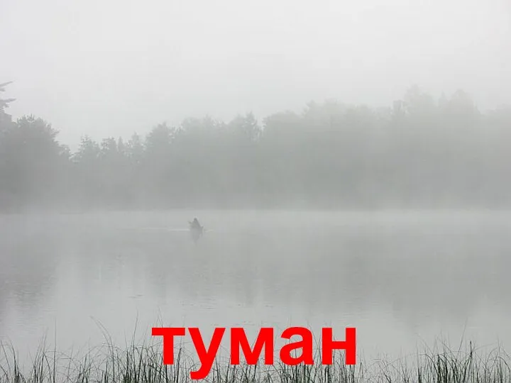 туман