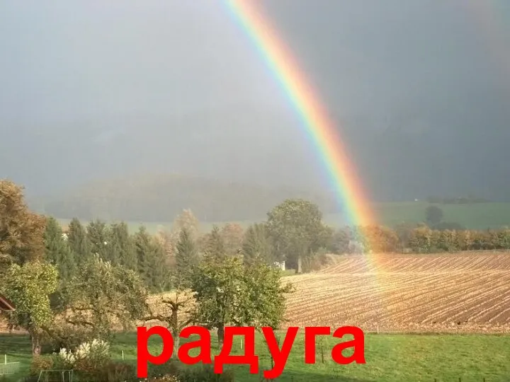 радуга