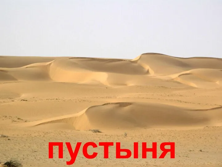 пустыня