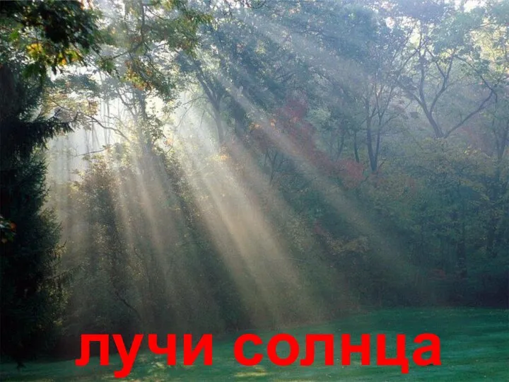 лучи солнца