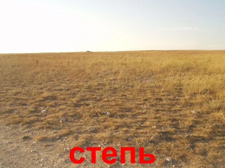 степь