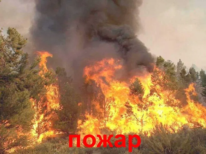 пожар