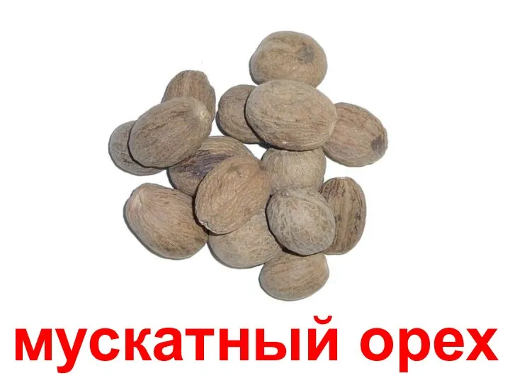 мускатный орех