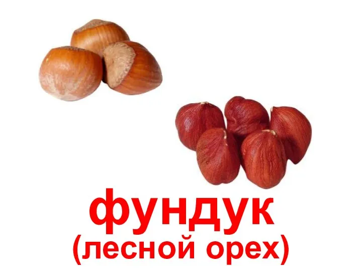 фундук (лесной орех)